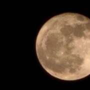 ヒメ日記 2025/10/13 09:08 投稿 りお 奥様なでしこ