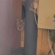 ヒメ日記 2025/10/18 18:21 投稿 りお 奥様なでしこ