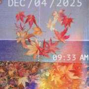 ヒメ日記 2025/12/04 09:48 投稿 りお 奥様なでしこ