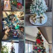 ヒメ日記 2025/12/06 16:21 投稿 りお 奥様なでしこ