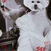 ヒメ日記 2026/01/29 00:03 投稿 りお 奥様なでしこ