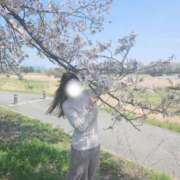 ヒメ日記 2026/04/03 11:45 投稿 りお 奥様なでしこ