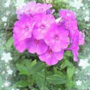 みか お休みします… 人妻小旅行