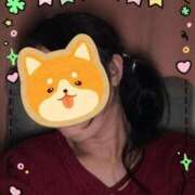 ヒメ日記 2025/04/28 22:54 投稿 ももこ 熟女の風俗最終章 新潟店