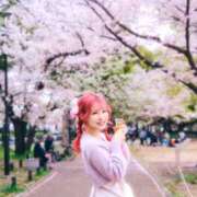 ヒメ日記 2025/04/11 23:56 投稿 あまね【PLATINUM】 SWITCH（スイッチ）池袋店