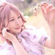 ヒメ日記 2025/04/12 00:03 投稿 あまね【PLATINUM】 SWITCH（スイッチ）池袋店