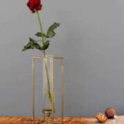 ヒメ日記 2025/06/17 18:01 投稿 あんじゅ 完熟ばなな 上野店