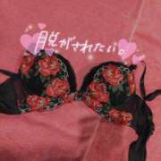 ヒメ日記 2025/03/25 10:03 投稿 しおり 奥様特急三条店