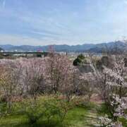 ヒメ日記 2025/03/30 10:09 投稿 モユ MEGA PALACE(メガパレス）