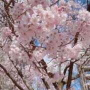 ヒメ日記 2025/04/04 21:22 投稿 れいか 立川人妻研究会