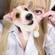 ヒメ日記 2025/12/02 15:42 投稿 ももか ハンドキャンパス新宿