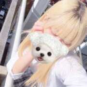 ヒメ日記 2025/12/11 16:06 投稿 ももか ハンドキャンパス新宿