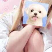 ヒメ日記 2025/12/23 15:55 投稿 ももか ハンドキャンパス新宿