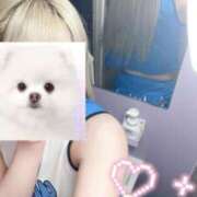 ヒメ日記 2026/02/27 19:23 投稿 ももか ハンドキャンパス新宿