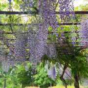 ヒメ日記 2026/04/27 17:52 投稿 ももか ハンドキャンパス新宿