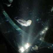 ヒメ日記 2025/04/20 01:41 投稿 いのり LEVEL1