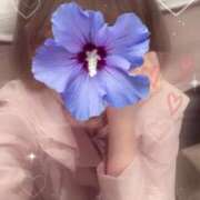 ヒメ日記 2025/05/05 22:41 投稿 いのり LEVEL1