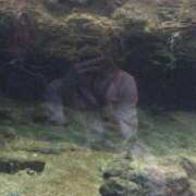 ヒメ日記 2025/05/27 00:21 投稿 いのり LEVEL1