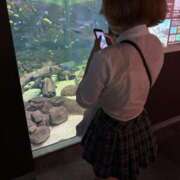 ヒメ日記 2025/06/20 03:11 投稿 いのり LEVEL1