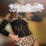 ヒメ日記 2025/04/18 10:31 投稿 滝沢 らむ カサノヴァ