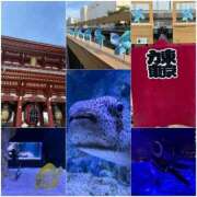 ヒメ日記 2025/06/21 22:39 投稿 滝沢 らむ カサノヴァ