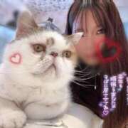 ヒメ日記 2025/12/30 22:29 投稿 滝沢 らむ カサノヴァ