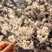 ヒメ日記 2026/04/04 01:29 投稿 滝沢 らむ カサノヴァ