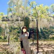 ヒメ日記 2025/05/01 14:26 投稿 もも EXE【都城本店】