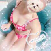 もも また明日です🍑 EXE【都城本店】