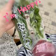 ヒメ日記 2025/03/27 16:40 投稿 もえか 奥鉄オクテツ東京店（デリヘル市場）