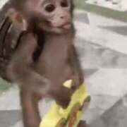 ヒメ日記 2025/12/11 23:20 投稿 もえか 奥鉄オクテツ東京店（デリヘル市場）