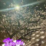 ヒメ日記 2026/03/26 22:00 投稿 もえか 奥鉄オクテツ東京店（デリヘル市場）