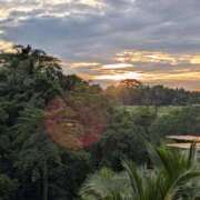 ヒメ日記 2025/11/22 10:34 投稿 みそら シェリーエンジェル