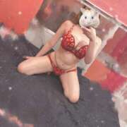 ヒメ日記 2025/05/15 08:29 投稿 桃(もも) チューリップ宇都宮店