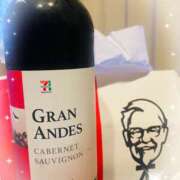 ヒメ日記 2025/06/10 23:40 投稿 れんか 藤沢人妻城