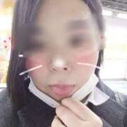 ヒメ日記 2025/04/09 11:02 投稿 ましろ 三重四日市ちゃんこ