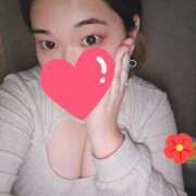 ヒメ日記 2025/04/10 01:01 投稿 ましろ 三重四日市ちゃんこ