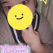 ヒメ日記 2025/04/11 04:51 投稿 ましろ 三重四日市ちゃんこ