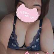 ヒメ日記 2025/04/11 14:02 投稿 ましろ 三重四日市ちゃんこ