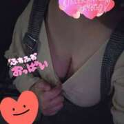 ヒメ日記 2025/04/11 19:51 投稿 ましろ 三重四日市ちゃんこ