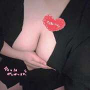 ヒメ日記 2025/04/12 12:03 投稿 ましろ 三重四日市ちゃんこ