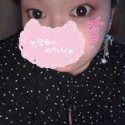 ヒメ日記 2025/04/12 18:31 投稿 ましろ 三重四日市ちゃんこ