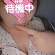 ヒメ日記 2025/04/15 00:01 投稿 ましろ 三重四日市ちゃんこ