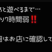 ヒメ日記 2025/04/19 20:41 投稿 ましろ 三重四日市ちゃんこ