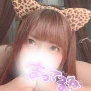 ヒメ日記 2025/04/17 12:21 投稿 ひなの エンジェルマスカット