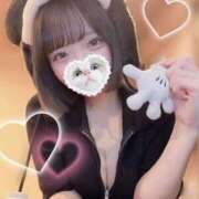 ヒメ日記 2025/04/18 16:12 投稿 鹿野愛花 ブルーバード