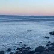 ヒメ日記 2026/03/08 09:20 投稿 つばき THE ESUTE 五反田店