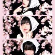 ヒメ日記 2026/03/22 03:20 投稿 つばき THE ESUTE 五反田店