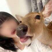 ヒメ日記 2025/11/09 06:17 投稿 つばき THE ESUTE 渋谷