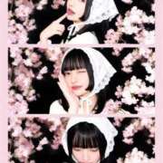 ヒメ日記 2026/03/22 03:27 投稿 つばき THE ESUTE 渋谷